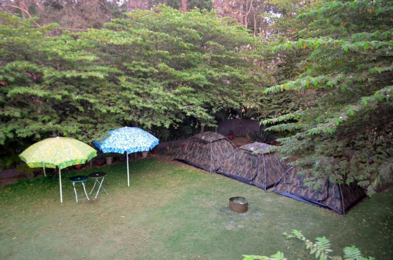 Dandeli Jungle Resort Exterior foto