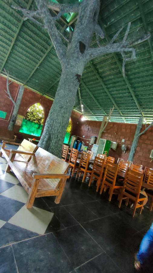 Dandeli Jungle Resort Exterior foto