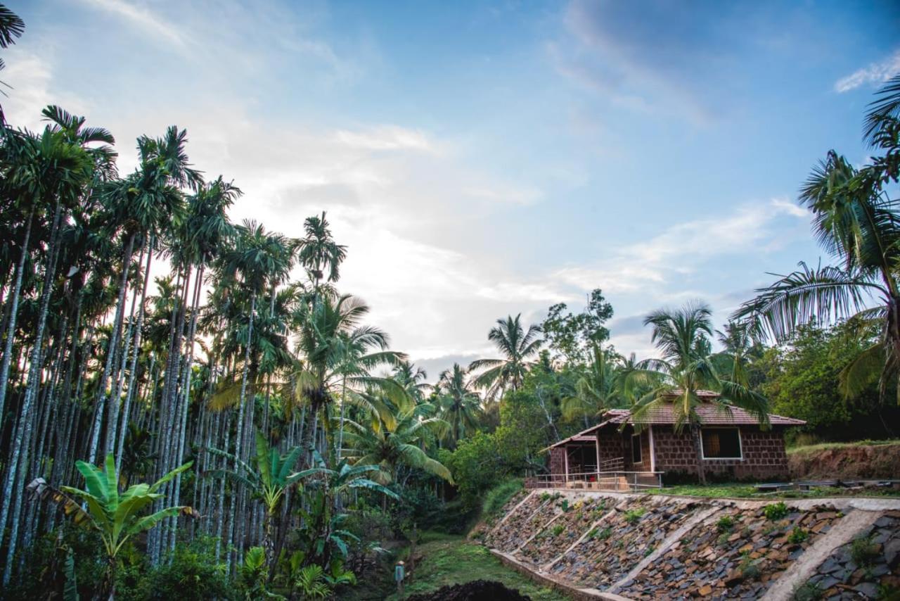 Dandeli Jungle Resort Exterior foto