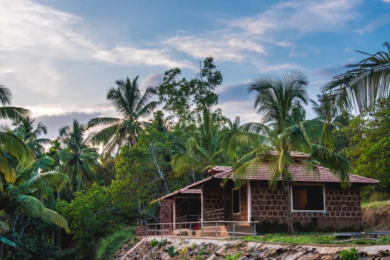 Dandeli Jungle Resort Exterior foto